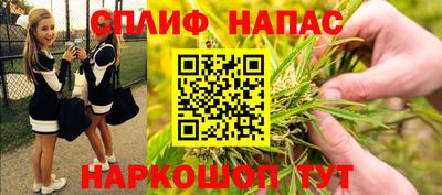 тгк Шелехов